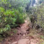 2026 08 08 09 42 43 pacom Senderismo